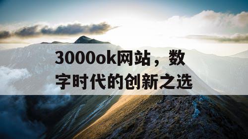 3000ok网站，数字时代的创新之选