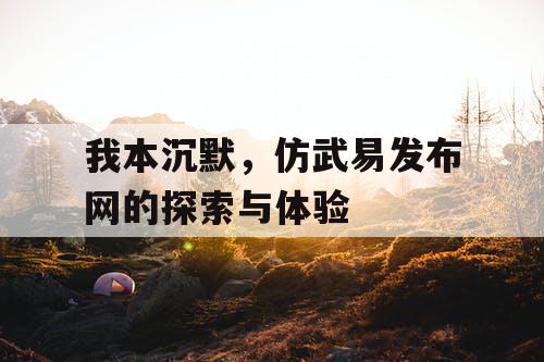 我本沉默，仿武易发布网的探索与体验