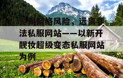 警惕网络风险，远离非法私服网站——以新开靓妆超级变态私服网站为例