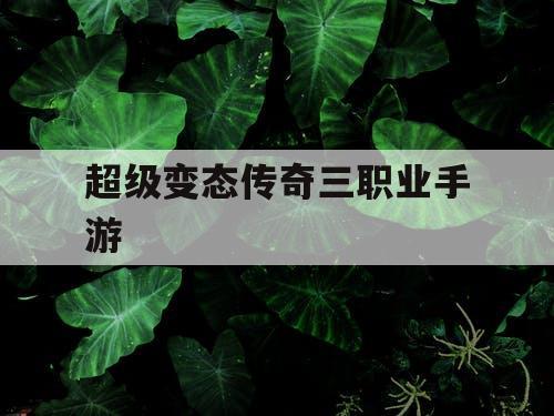 超级变态传奇三职业手游 超级变态传奇三职业手游
