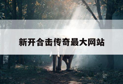 新开合击传奇最大网站 新开合击传奇最大网站