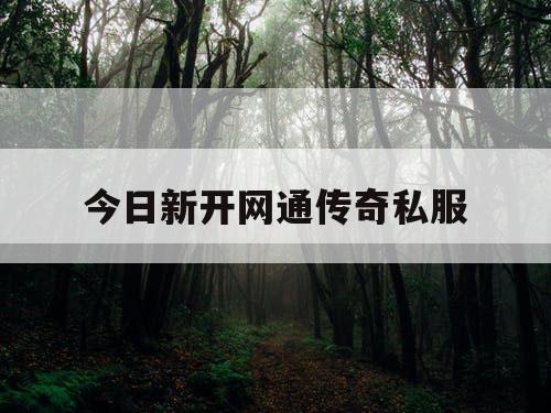 今日新开网通传奇私服 今日新开网通传奇私服