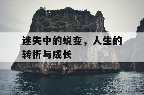 迷失中的蜕变，人生的转折与成长