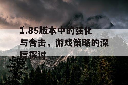 1.85版本中的强化与合击,游戏策略的深度探讨 1.85版本中的强化与合击,游戏策略的深度探讨