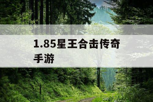 1.85星王合击传奇手游 1.85星王合击传奇手游