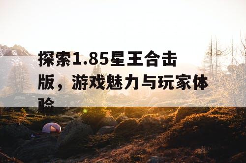 探索1.85星王合击版，游戏魅力与玩家体验