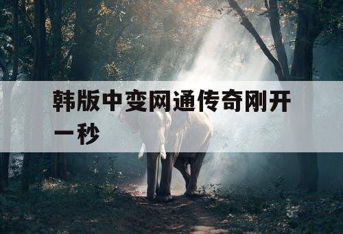 韩版中变网通传奇刚开一秒