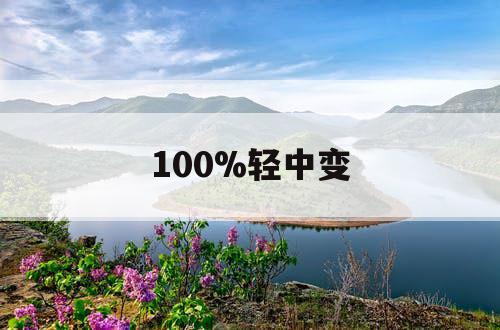 100%轻中变