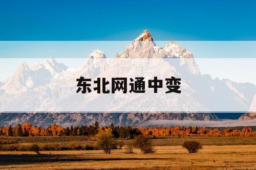 东北网通中变