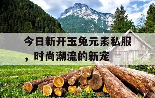 今日新开玉兔元素私服，时尚潮流的新宠