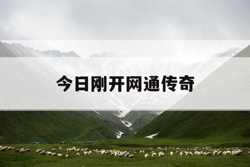 今日刚开网通传奇