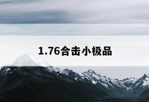 1.76合击小极品