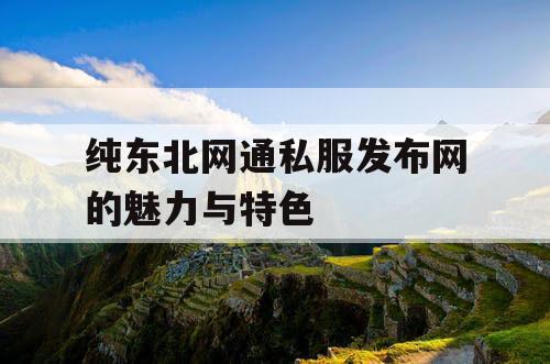 纯东北网通私服发布网的魅力与特色 纯东北网通私服发布网的魅力与特色