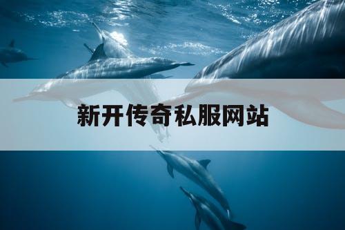 新开传奇私服网站