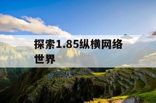 探索1.85纵横网络世界