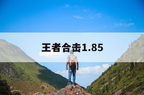 王者合击1.85 王者合击1.85