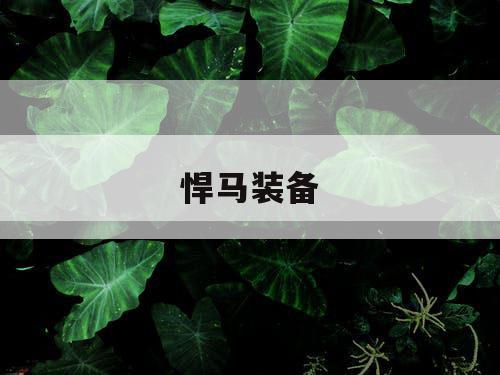 悍马装备