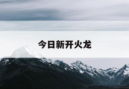 今日新开火龙