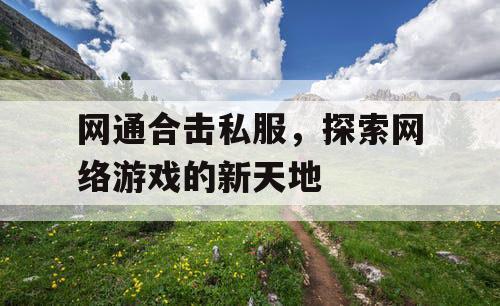 网通合击私服，探索网络游戏的新天地