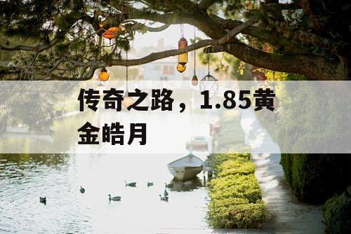 传奇之路，1.85黄金皓月