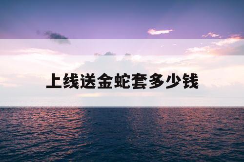 上线送金蛇套多少钱 上线送金蛇套多少钱