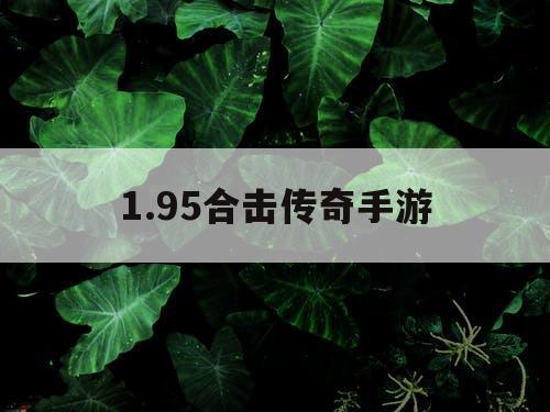 1.95合击传奇手游 1.95合击传奇手游