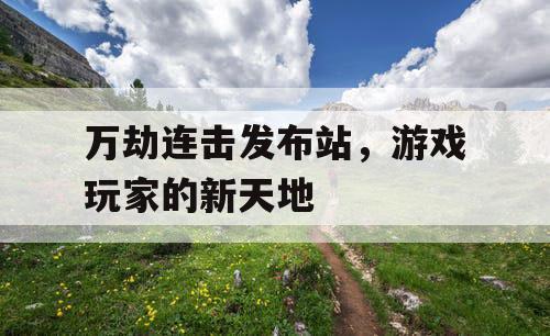 万劫连击发布站,游戏玩家的新天地 万劫连击发布站,游戏玩家的新天地