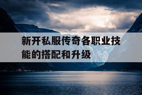 新开私服传奇各职业技能的搭配和升级