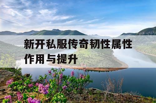 新开私服传奇韧性属性作用与提升