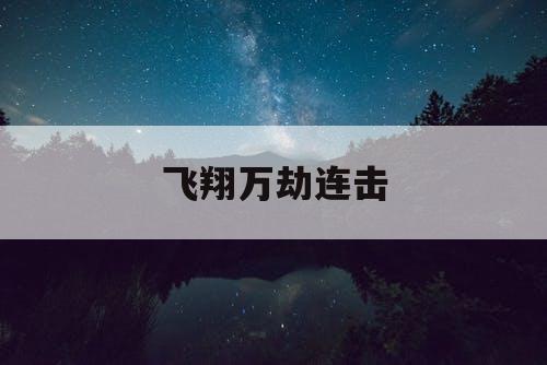 飞翔万劫连击
