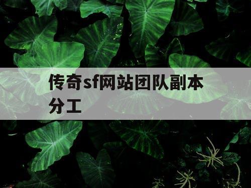 传奇sf网站团队副本分工