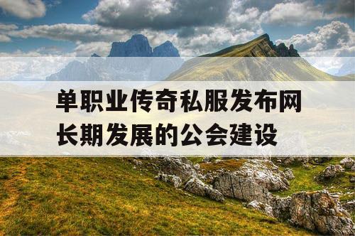 单职业传奇私服发布网长期发展的公会建设