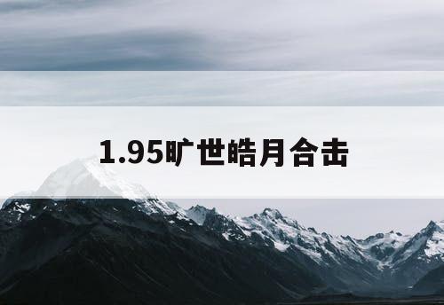 1.95旷世皓月合击