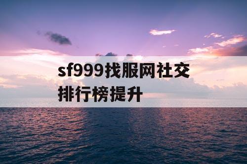 sf999找服网社交排行榜提升