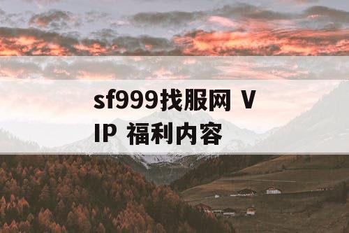 sf999找服网 VIP 福利内容