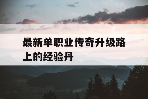 最新单职业传奇升级路上的经验丹