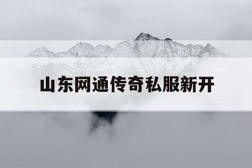 山东网通传奇私服新开