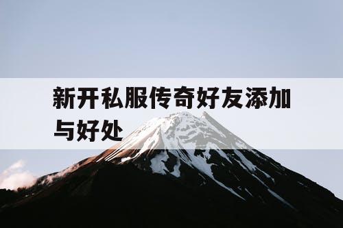 新开私服传奇好友添加与好处