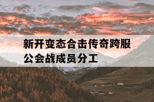 新开变态合击传奇跨服公会战成员分工