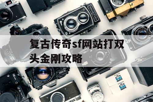 复古传奇sf网站打双头金刚攻略