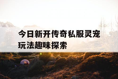 今日新开传奇私服灵宠玩法趣味探索