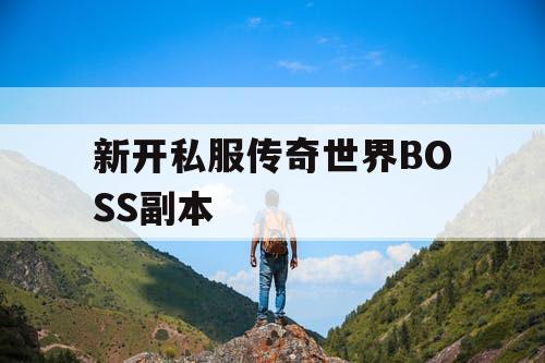 新开私服传奇世界BOSS副本