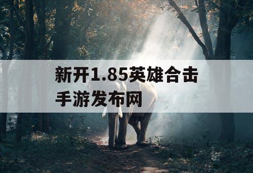 新开1.85英雄合击手游发布网