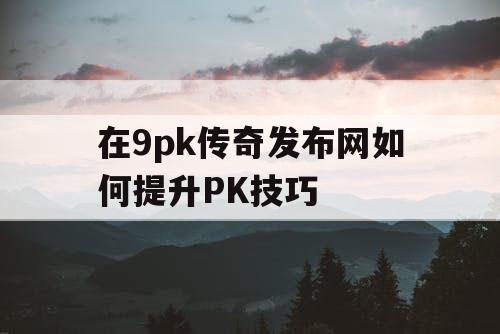 在9pk传奇发布网如何提升PK技巧