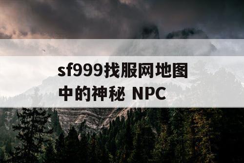 sf999找服网地图中的神秘 NPC