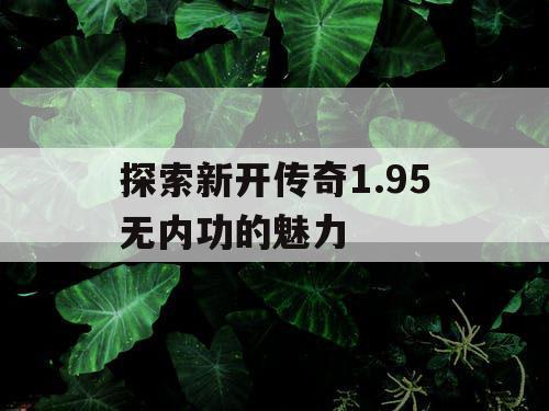 探索新开传奇1.95无内功的魅力