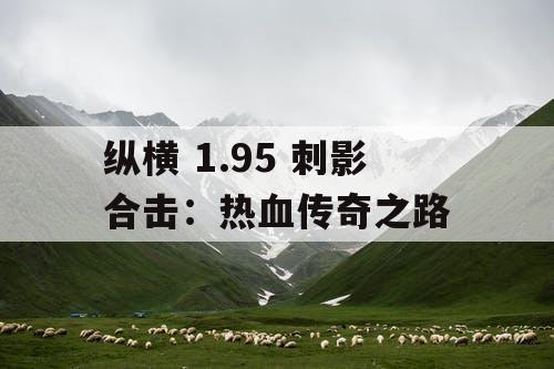 纵横 1.95 刺影合击：热血传奇之路