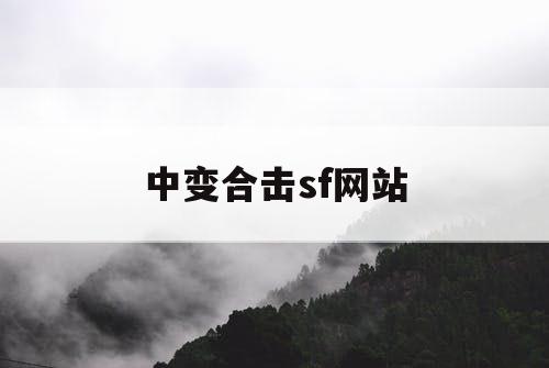 中变合击sf网站