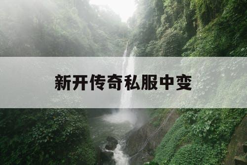 新开传奇私服中变