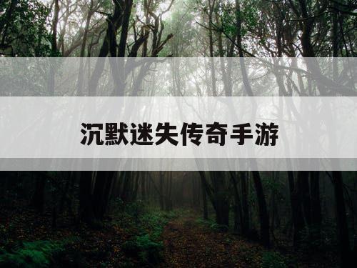 沉默迷失传奇手游
